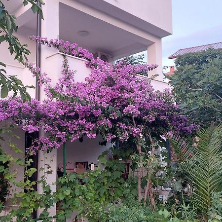 Apartments Plavi&Zuti Жаборич Екстер'єр фото